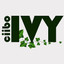 Ciibo Ivy