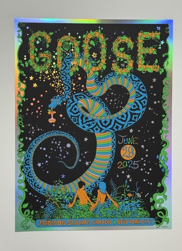 Póster Goose The Band MSG Madison Square Garden NY 2025 Oficial #’d X/200 ¡LÁMINA! - Imagen 17 de 19