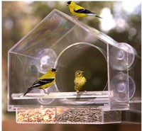 Amsamotion Fenster Futterhaus FüR VöGel, Vogelhaus Fensterscheibe Mit Clear