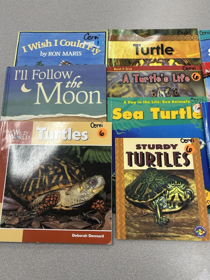 13 Kids Books Lot About Turtles Homeschool Classroom Library Fiction /nonfiction - Image 2 of 4