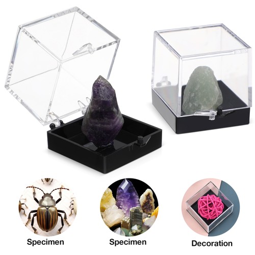 2 Stück Acryl Boxen Mineralien Vitrine Präparat klein Reisekoffer Etuis - Bild 9 von 11