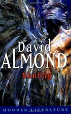 Hodder Literature: Skellig with Web Teacher Material