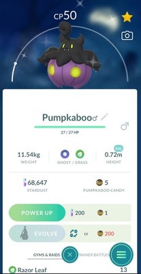   Shiny Pumpkaboo - Size XXL    P T C -20k stardust - Description
