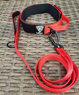 dog leash and collar set