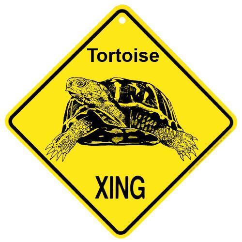 Tortoise Crossing Xing Sign New Turtle  14 3/8 x 14 3/8 - Picture 1 of 1