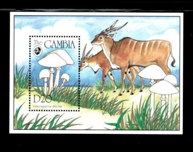 VINTAGE CLASSICS Gambia 1994- Mushrooms-  Souvenir Stamp sheet- Scott 1590 MNH