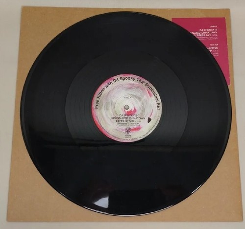 FREE KITTEN with DJ SPOOKY 12" VINYL RARE PUNK INDIE 1997 WIIIJA KIM GORDON - Picture 3 of 4