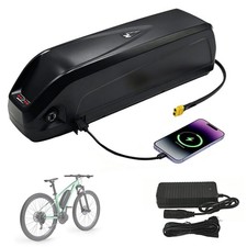 48V 20Ah Lithium Battery with 30A BMS for 100-1000W Motor Long-Range Commuting