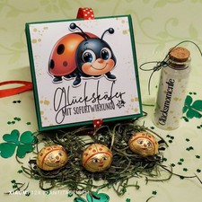 Glückskäfer,Mitbringsel, Geldgeschenk*Handarbeit*