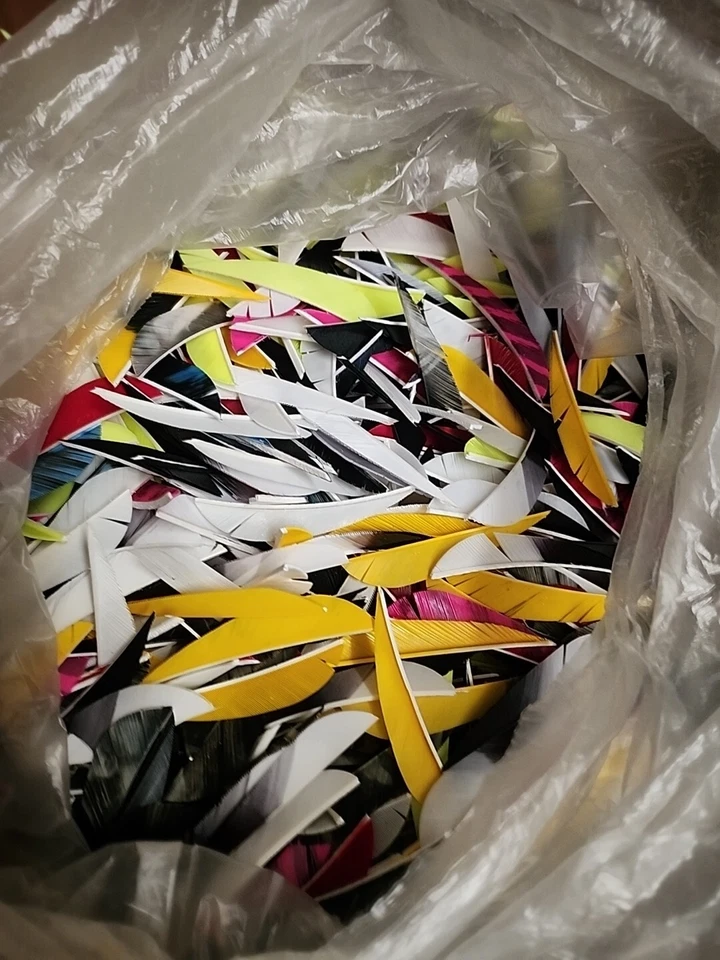 射箭羽毛-分类 Pk。 1/2 磅散装,1k+ 件 — 第 2/3 张图片