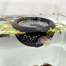 Aquarium Floating Betta Fish Skins, Betta or Shrimp Feeder, Cave and Hammock, Sm