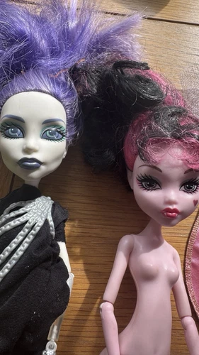 Monster High Muñecas Paquete x20 Accesorios Ropa Mascotas Figuras Raras - Imagen 15 de 21