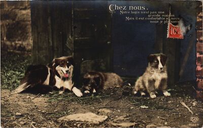 CPA AK Three Cute Dogs DOGS (1388111)