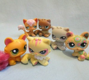 lps kittens cheap