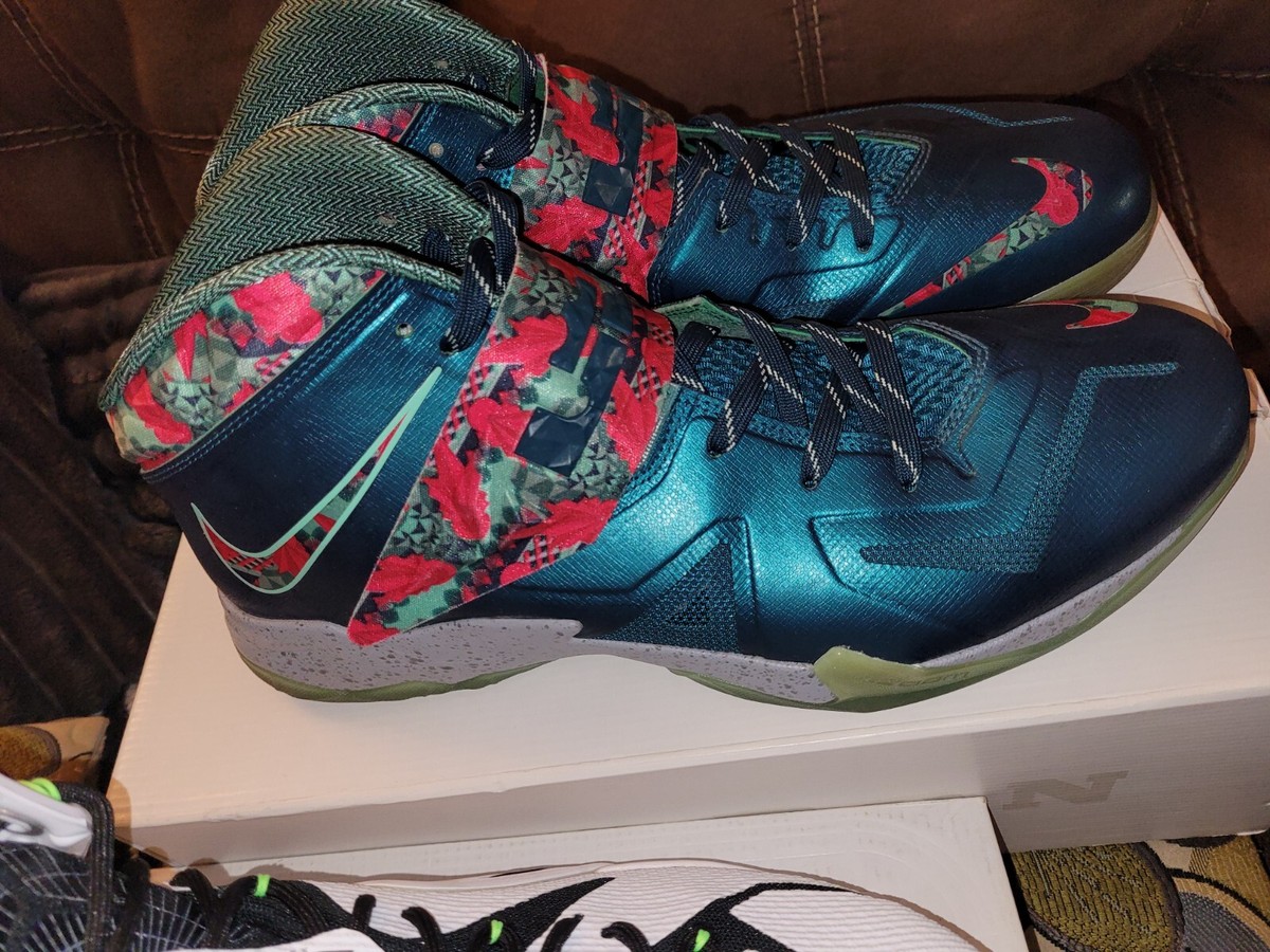 lebron soldier 7 power couple