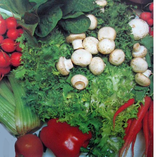 All Occasions' Cookbook Charmaine Solomon Australia Hardcover 300 Simple Recipes - Imagen 11 de 18