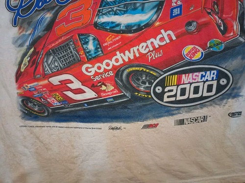 Dale Earnhardt Taz Warner Bros NASCAR 2000 Chase Authentic Storming The Track - Picture 11 of 22