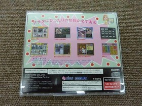 Sims Message Navi Sega Saturn Soft