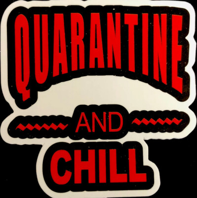 VIRUS STICKER 2020 QUARANTINE & CHILL  2 1/2 X 2 1/2  RELAX AND THIS Will PASS!