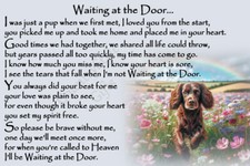 Sprocker Cocker Spaniel  Memorial Rainbow Bridge brown dog sympathy gift