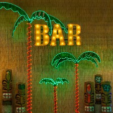 2-4-7 Deluxe LED Lighted Palm Trees Rope Ligh...