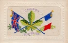 CANADA OUR PRIDE: MAPLE LEAF: RARE WW1 EMBROIDERED MILITARY SILK POSTCARD
