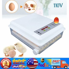 64 Digital Eggs Incubator Egg Hatcher With Te...