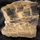 Petrified Wood Fossil Rough Specimen Chunk Display Mineral Wood Fossil Specimen — photo 1