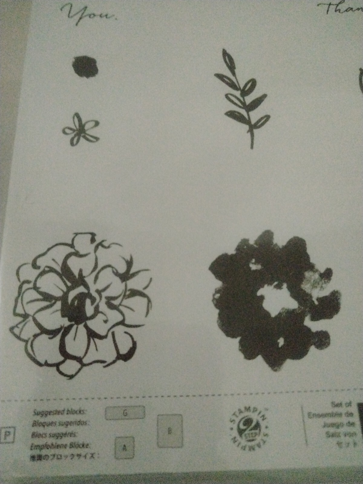 Imagen 4 de 7