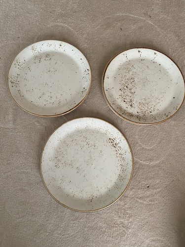3 X Steelite Stoneware Dinner Plates