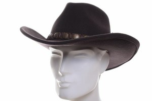 cappelli western stetson