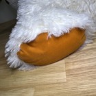 Picture 17 of 20