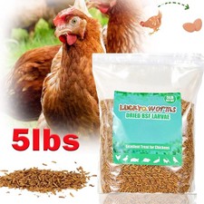 5 LBS Dried Black Soldier Fly Larvae Mealworms for Chicken Birds Treats Premium