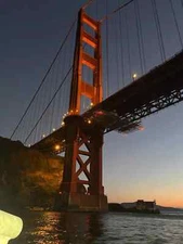 HIGHLY ACTIVE SF WHARF SOURDOUGH STARTER YEAST PIZZA DOUGH BANANA CORN BREAD