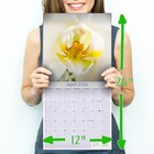 Imagen 8 de 10