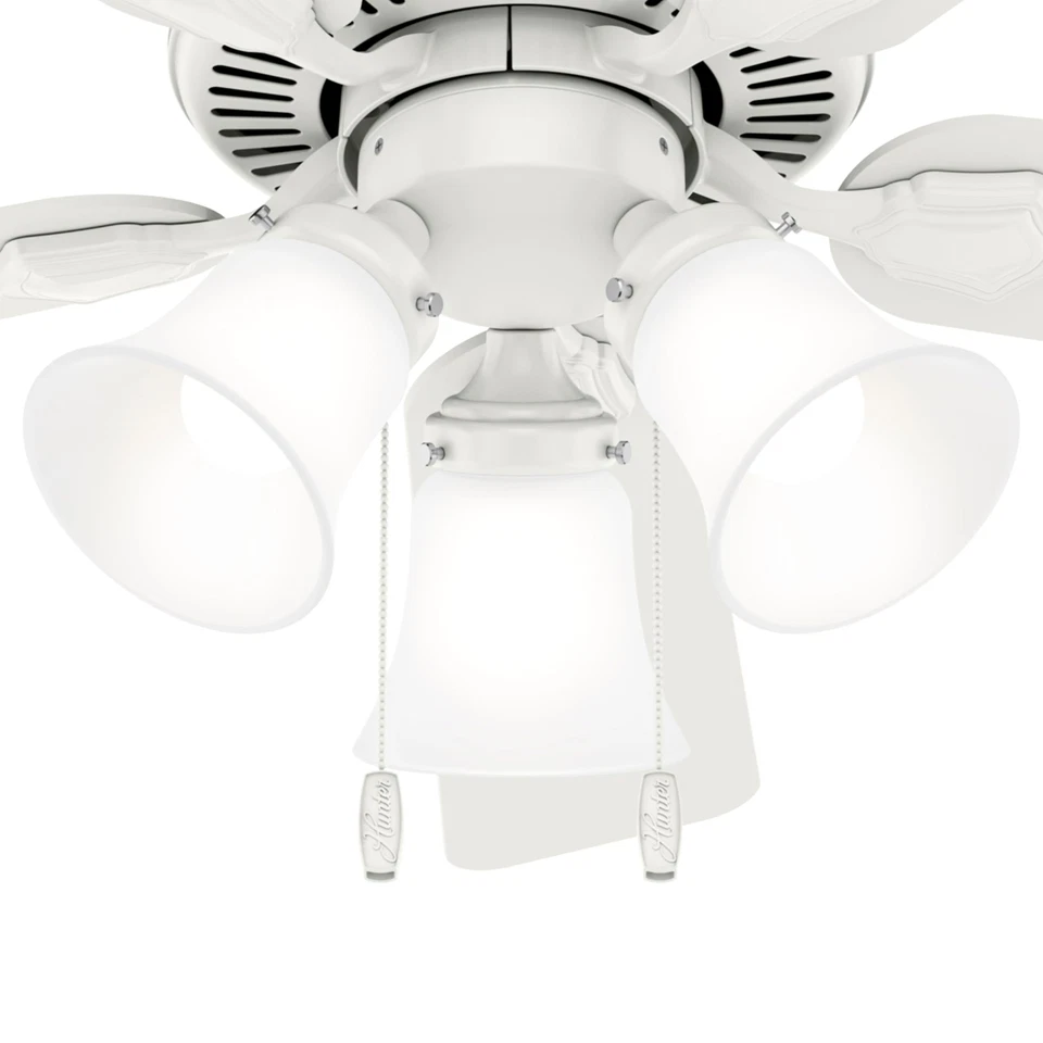 Hunter Swanson 44 Inch Ceiling Fan with Lights LED Quiet Motor Adjustable Height - Image 4 of 4