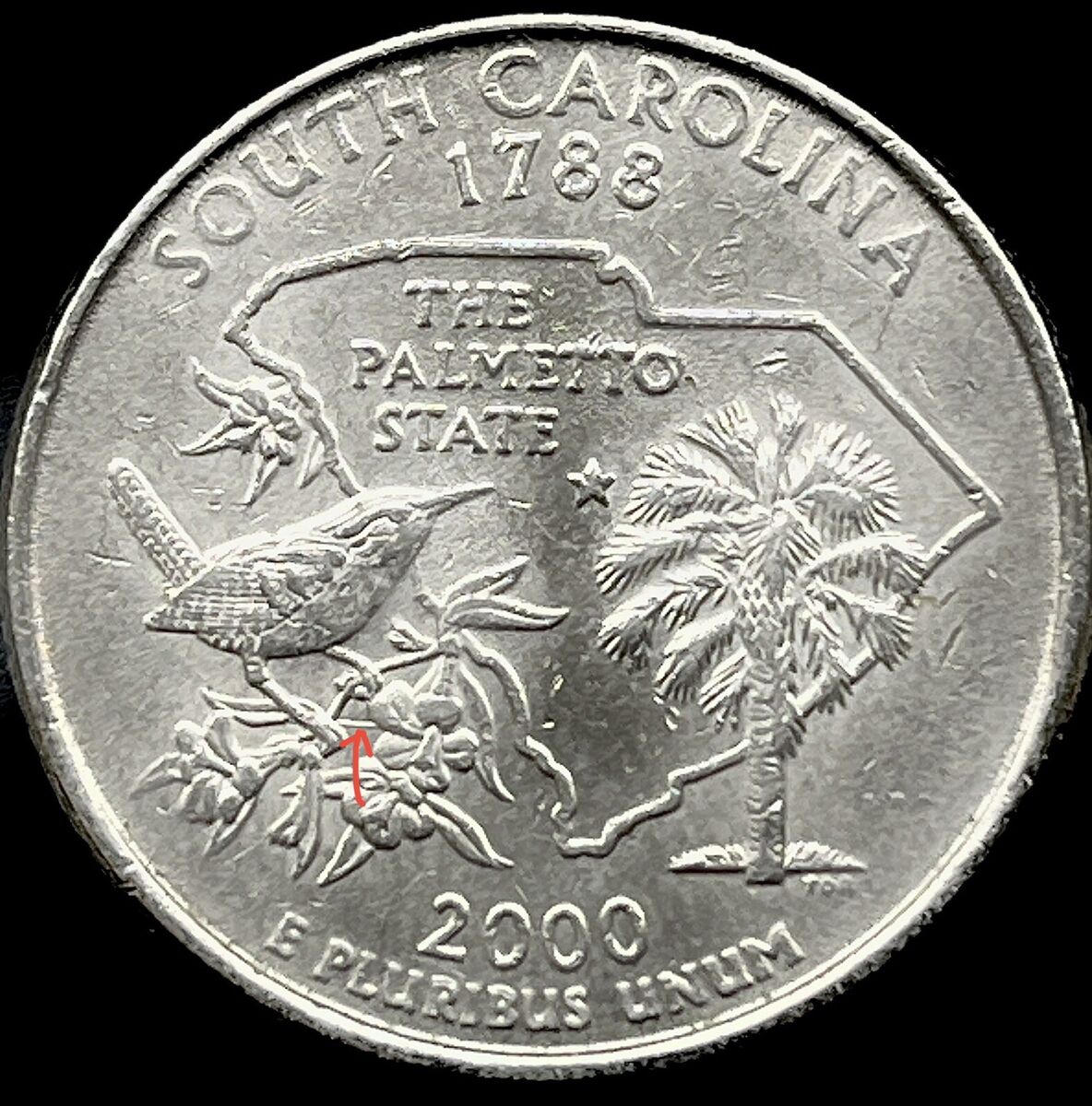 🐦⬛ 2000 P South Carolina Quarter "Extra Branch" Error