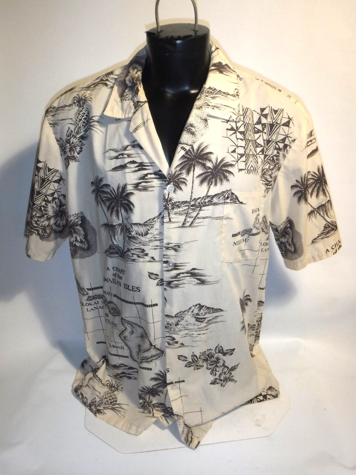 Big Island Men's Aloha Shirt