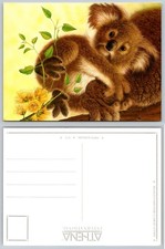 Vintage Athena Koala Joey Postcard by Jon Mac - Cute Australian Animal