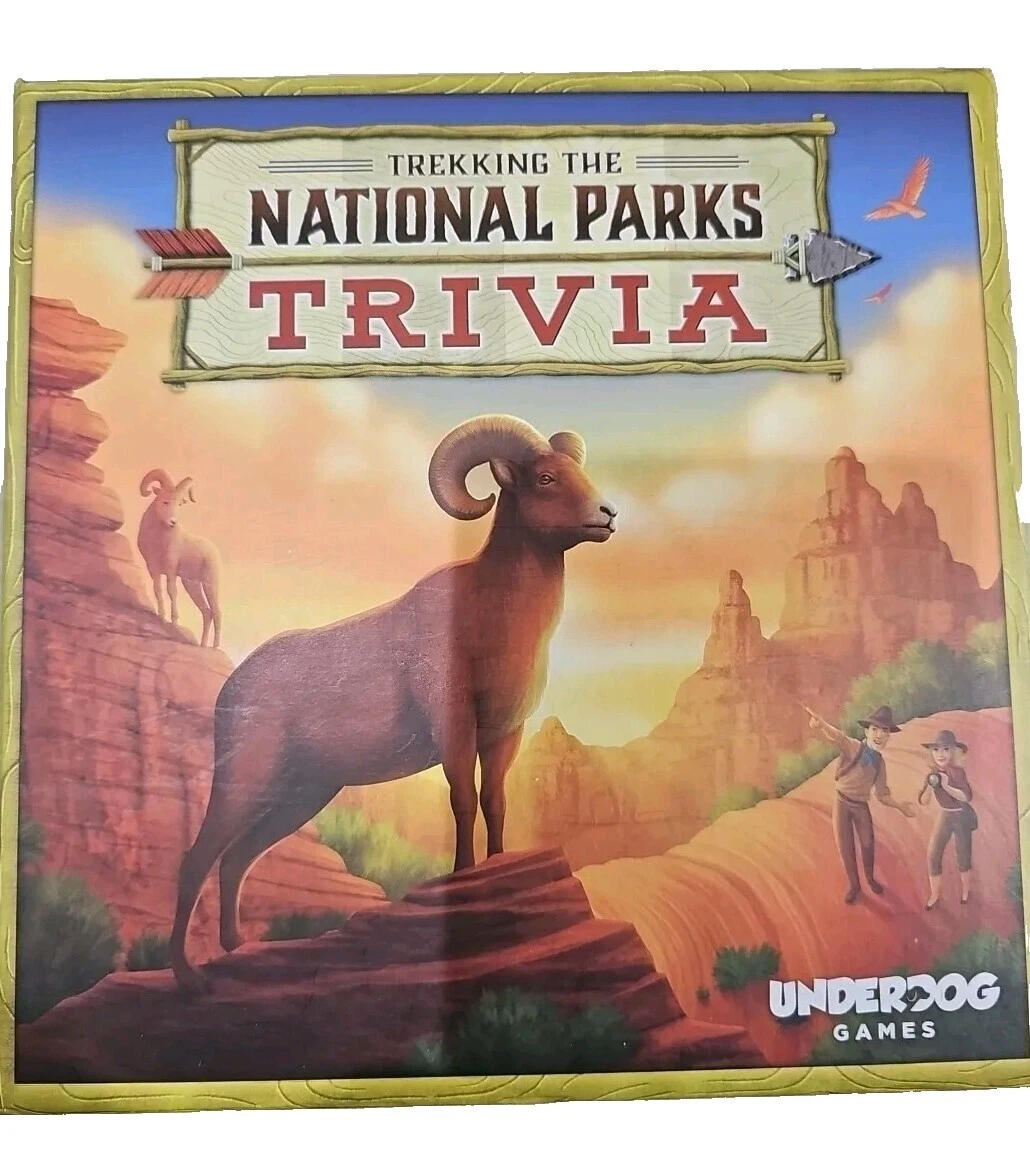 American Girl Games 100 Award Board & Traditional Games