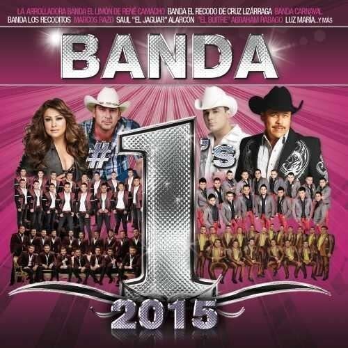 Various Artists Banda #1's 2015 (CD)
