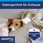 Bild 7 von 11