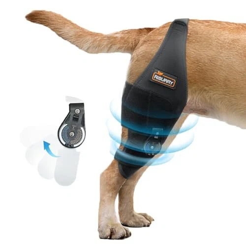Hinged knee brace for cheap dogs
