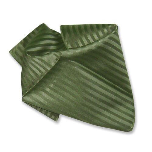 ROLD SKOV BIT TWO POCKET STRIPES Size: M Green Men | eBay