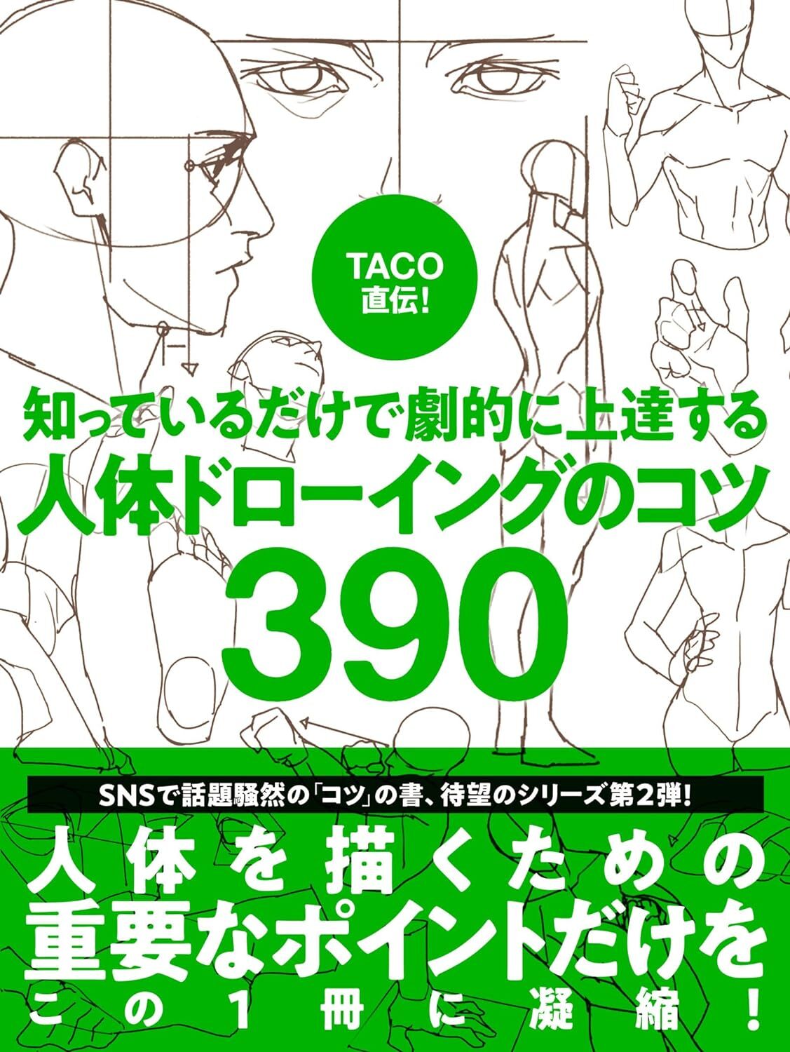 Directly from TACO! 390 Human Body Drawing Tips Dramatically Improve Your Skills