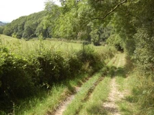 Photo 6x4 Green lane near Sollers Hope, Herefordshire Crossway/SO6131  c2009