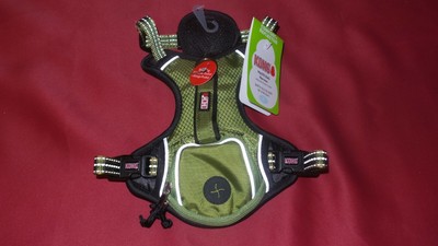 kong green harness