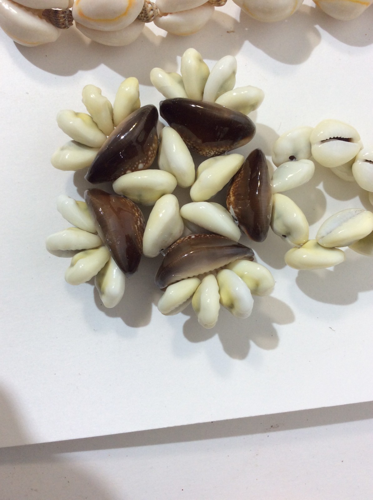 Five Large Seashell Necklaces - image 12