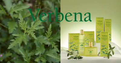 L'Herbolario di Lodi Verbena komplette Linie