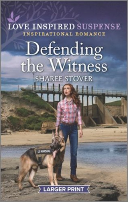 Defending the Witness Mass Market Paperbound Sharee StoverFree US Delivery | ISBN:1335598979